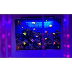 Zestaw nr 2 - Sala Doświadczania Świata z montażem