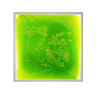 Panel sensoryczny LED z cieczą - Green