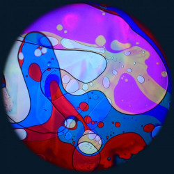 Tarcza żelowa P "Candy Burst"